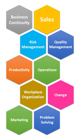 Business Improvement Consultants