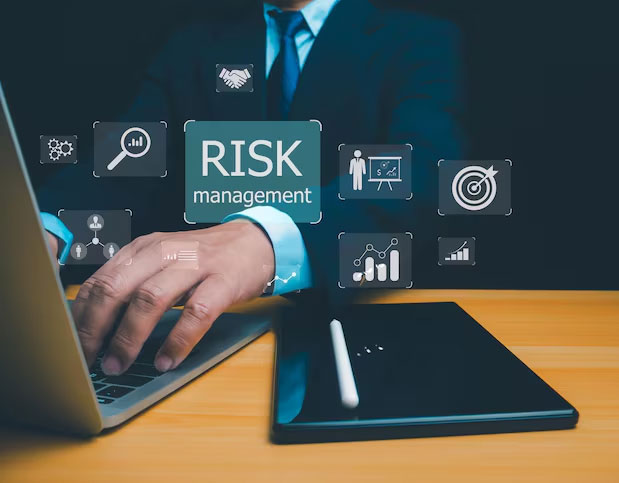 Risk Management Consultants